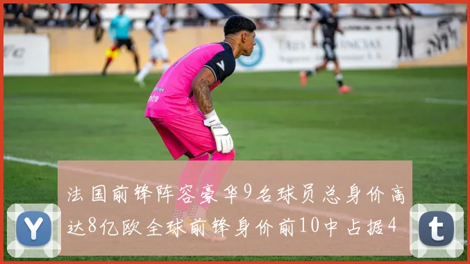 法国前锋阵容豪华9名球员总身价高达8亿欧全球前锋身价前10中占据4席