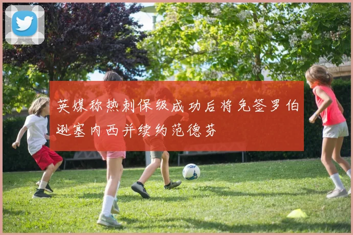英媒称热刺保级成功后将免签罗伯逊塞内西并续约范德芬