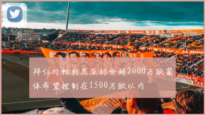 拜仁对帕利尼亚标价超2000万欧葡体希望控制在1500万欧以内